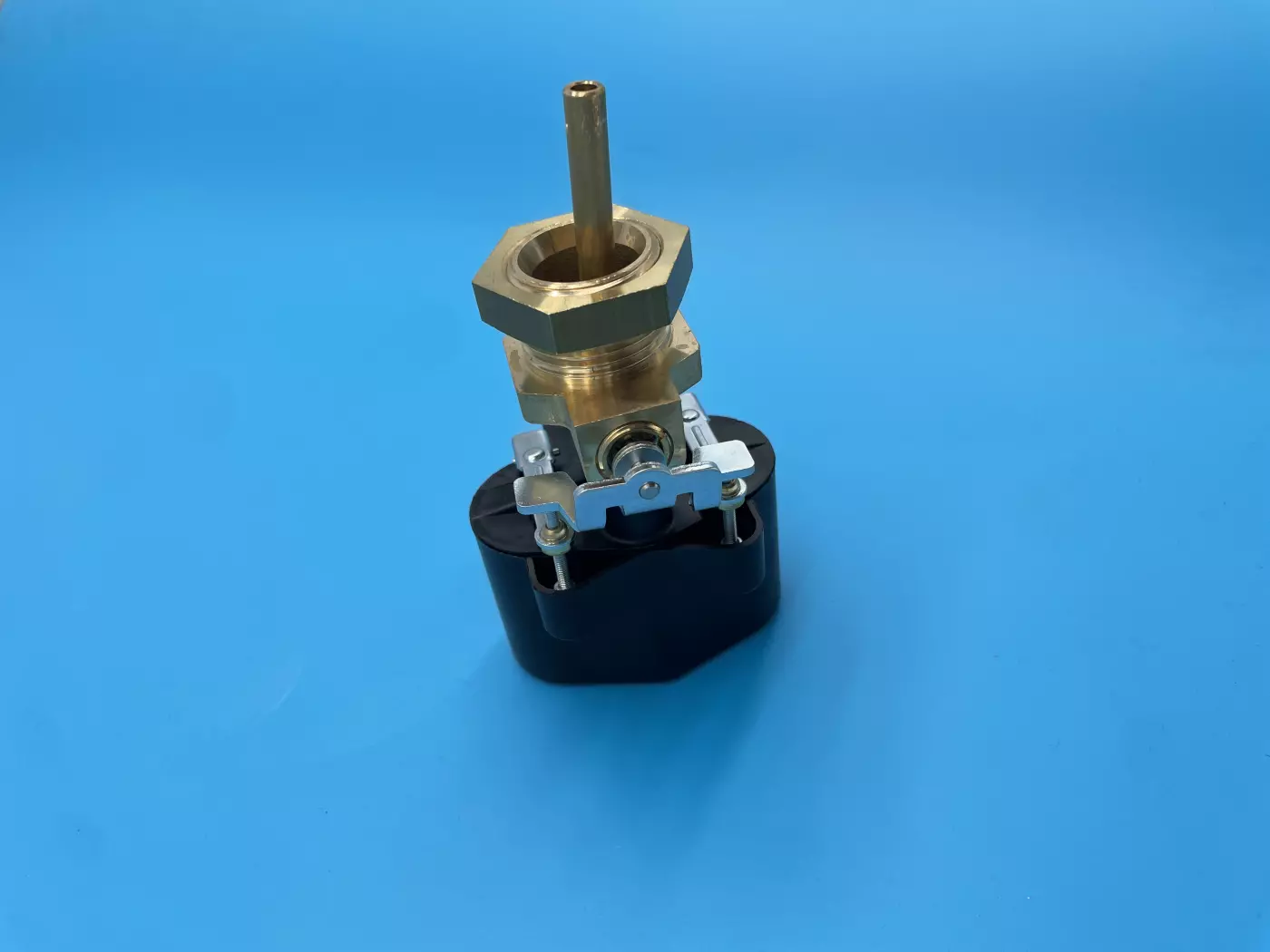 SONDE DE NIVEAU 1" RL21 AVEC MICRORUPTEUR